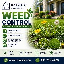 Weed control/Lawn maintenance