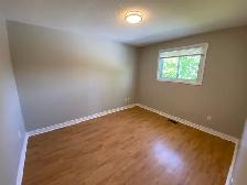 Beautiful 3 Bedroom Main Floor Apartment Welland - Photo 12