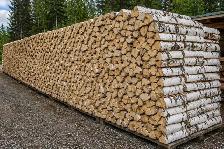 Free Birch Firewood