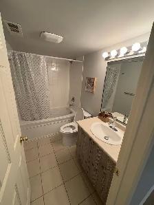 Newly renovated, spacious 2 bedroom   loft condo in Whitby - Photo 8