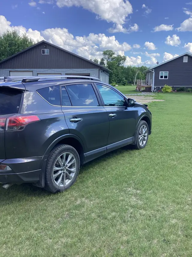 2017 Toyota RAV4 Platinum