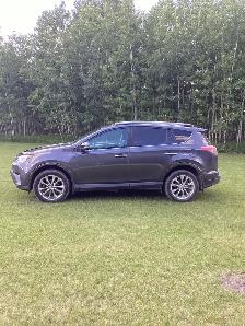 2017 Toyota RAV4 Platinum - Photo 2