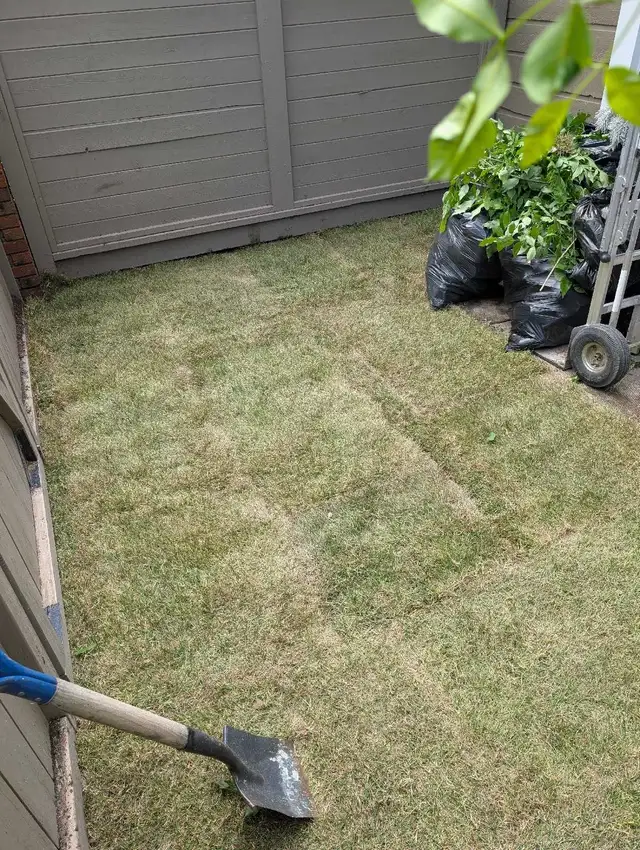 sod and fake grass