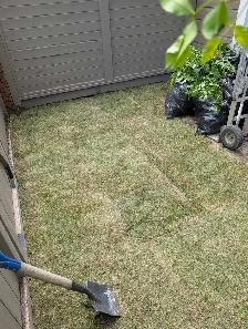 sod and fake grass