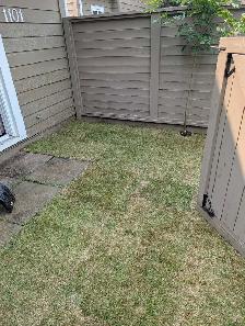 sod and fake grass - Photo 4