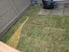 sod and fake grass - Photo 5