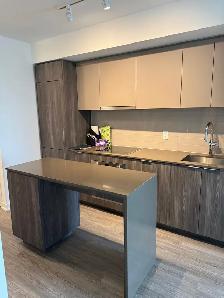 Brand New 1 Bed   Flex Condo for Rent | $2,200/month | WiFi Incl - Photo 12
