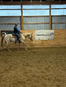 Tennessee Walker gelding - Photo 4