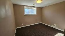 2 bedroom 1 bath basement suite - Photo 5