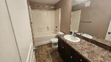2 bedroom 1 bath basement suite - Photo 7