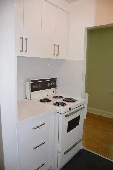 $1,700/ 1 Bdrm - Broadview & O'Connor - Photo 7