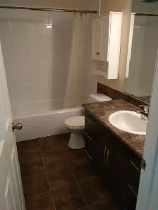 Just Bring your suitcase: Fully Furn'd 2bdr PRIVATE APARTMENT - Photo 8