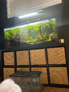 FISH TANK 199$. 55 gal Long with fish ETC.