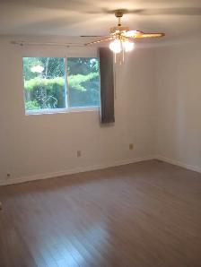 Entire House For Rent 3 Bed Room 1.5 Bath - Photo 7