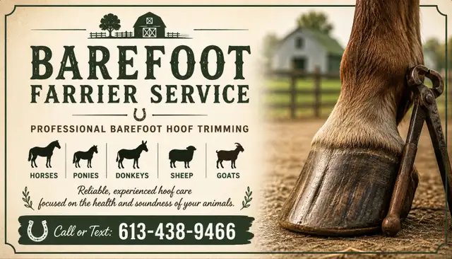 Farrier Services