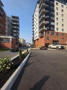 One-Bedroom Apartment for Rent – Available September 1, 2026 - Photo 2