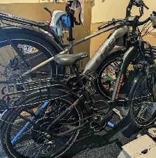 Rad Power Bikes RadCity Electric Bicycle