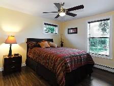 Downtown executive fully furnished 2 bedroom (Victoria Park) - Photo 3