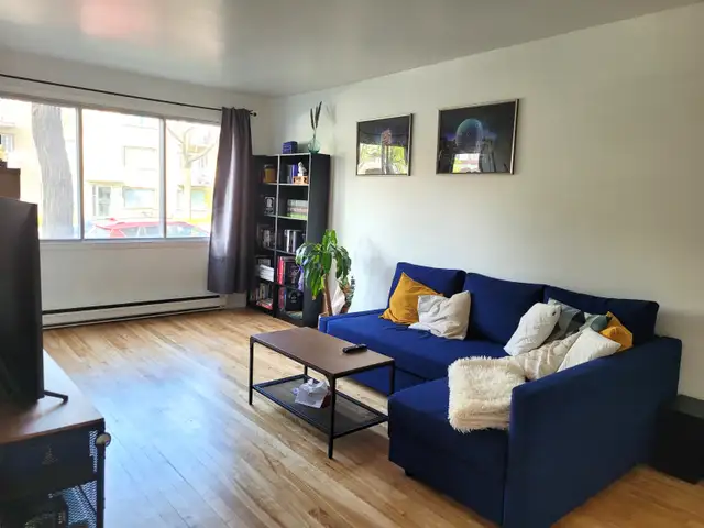 4 1/2 Lumineux à Villeray