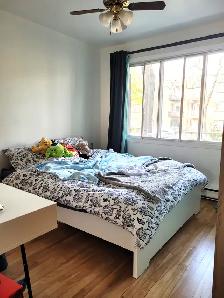 4 1/2 Lumineux à Villeray - Photo 2