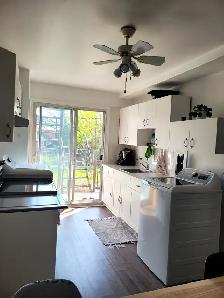 4 1/2 Lumineux à Villeray - Photo 9