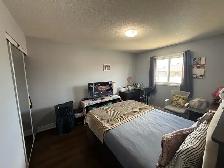 1 BED 1 BATH - Available for rent from AUG 01 - Photo 2