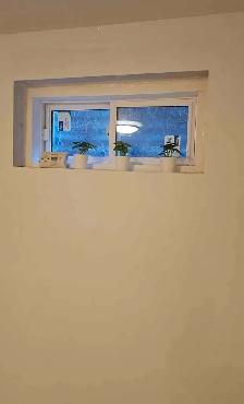 Basement apartment for rent - Scarborough - Photo 10