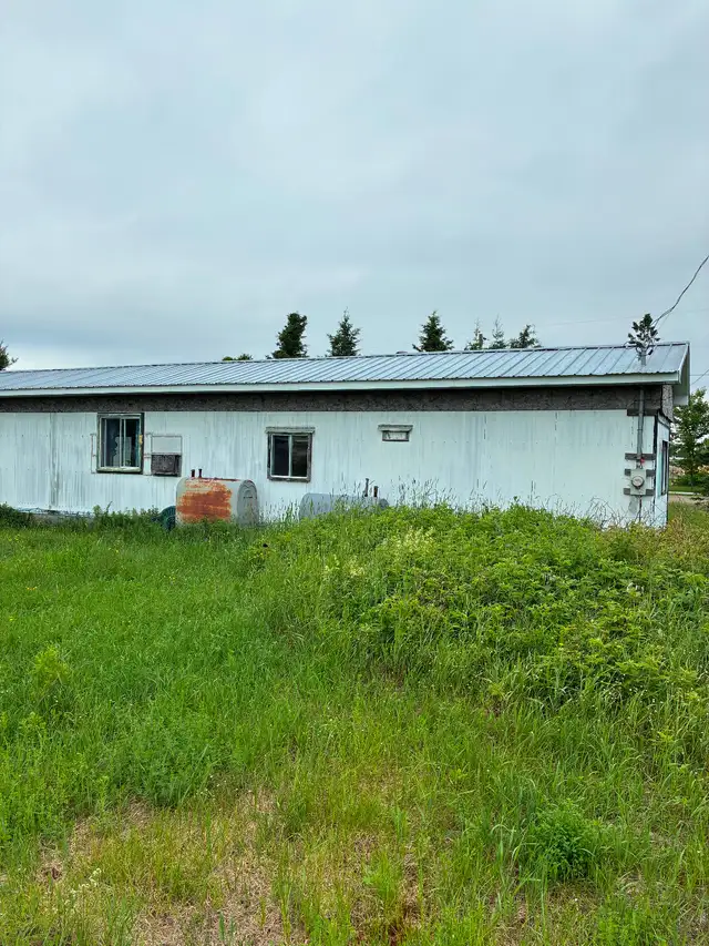 Older Mobile Home