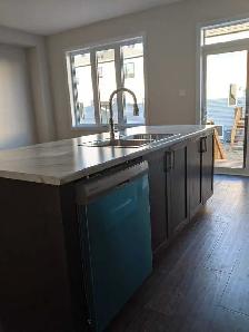 Endunit Townhouse Barrhaven - Photo 3