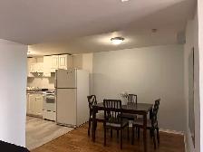 Basement bachelor in Vaughan - Photo 3