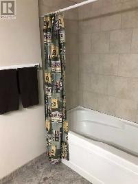 Newly Renovated Apartment Availabe TODAY! - Photo 9