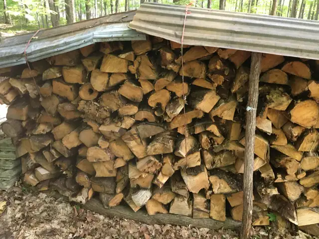 Bois de feux de camp