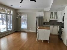 Calabogie Lake 2 Bedroom   Den Apartment with Spectacular View - Photo 8