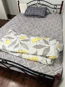 Specious and Furnished Room for Rent in Scarborough - Photo 3
