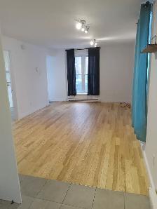 3 1/2 RUE LÉTOURNEUX, MONTRÉAL - Photo 4