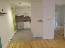 3 1/2 RUE LÉTOURNEUX, MONTRÉAL - Photo 8