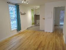 3 1/2 RUE LÉTOURNEUX, MONTRÉAL - Photo 10