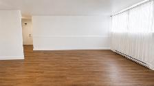 Bright 1-Bedroom in NDG with Internet Included - Photo 7