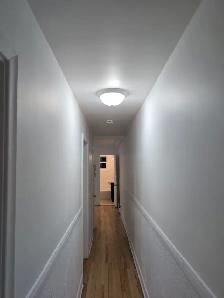 beau grand grand 4 1/2 rue Vitré Limoilou, petit chien accepté - Photo 7