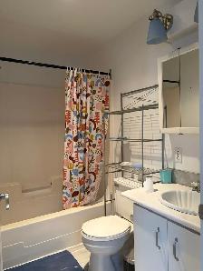 Beau grand 3 1/2, rue de la Reine St-Roch, Libre MEUBLÉ PROMO - Photo 10