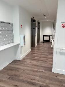 Newly constructed 1-bedroom units for rent - Photo 3