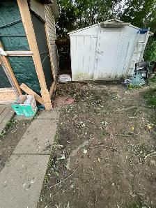cleaning - Photo 9
