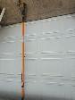 limb prunning saw