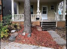 Top St B location 1 bed/1bath smaller pet ok - Photo 10