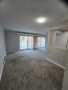 1 BR Bright Top-Floor Block from Brentwood Mall - Photo 2