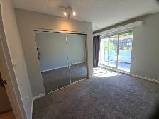 1 BR Bright Top-Floor Block from Brentwood Mall - Photo 5