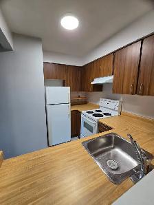 1 BR Bright Top-Floor Block from Brentwood Mall - Photo 6