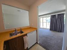 1 BR Bright Top-Floor Block from Brentwood Mall - Photo 7