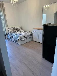 Furnished 3 Bedrooms- Downtown - Photo 5