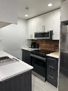 Furnished 3 Bedrooms- Downtown - Photo 6